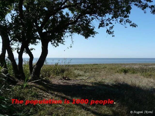 Погода морской чулек на 3 дня