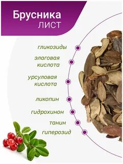 Травяной сбор брусника