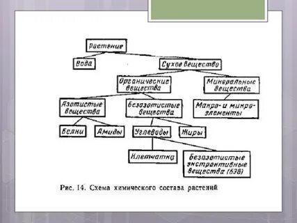 Состав корма схема