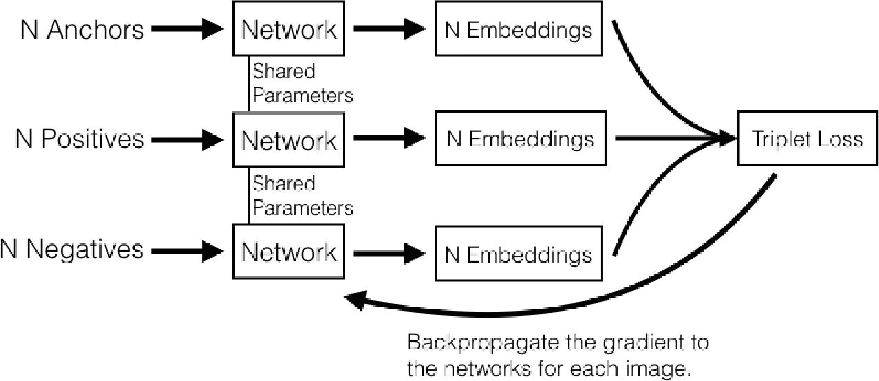 Face embedding