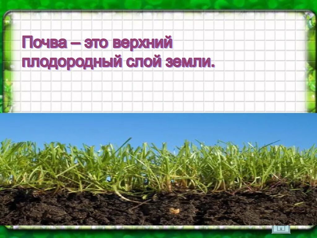 Плодородие почвы. Свойства почвы плодородие. Плодородие главное свойство почвы. Основное свойство почвы.