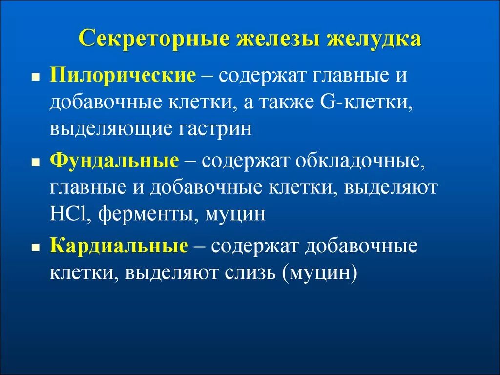 Железы желудка. Железы желудка функции. Функции пилорических желез желудка. Деятельность секреторных клеток. Секреторные б клетки