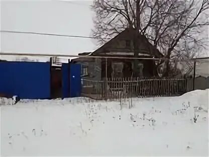 Авито урмары