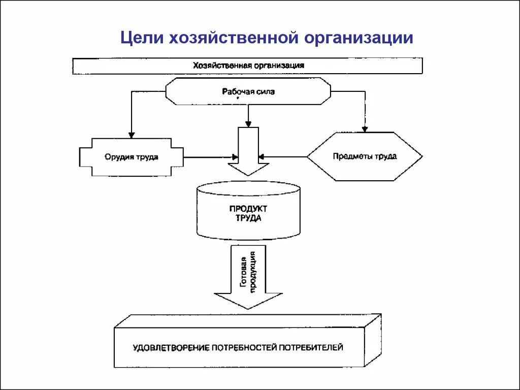 Хозяйственные организации. Хозяйственные цели предприятия. Хозяйственные организации примеры. Организация хозяйственной деятельности цели. Самостоятельная хозяйственная организация