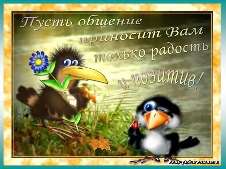 Песня пожелания сорока. Открытка с новосельем!. Спасибо за приятное общение. Открытки спасибо за приятное общение. Спасибо за радость общения.