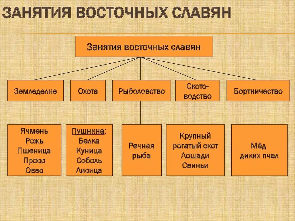 Перечислите главные занятия восточных славян. Основные занятия восточных славян в древности. занятия восточных славян земледелие. хозяйственные занятия восточных славян. занятия восточных славян 6 класс история россии.