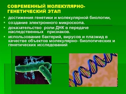 Генетика низших