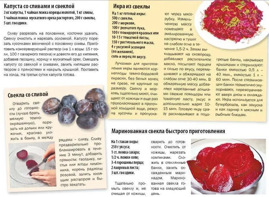 Свекла полезная для организма. Свекла со скольки месяцев давать ребенку. Когда можно давать свеклу. Свекла со скольки месяцев давать ребенку. Прикорм овощное пюре схема.