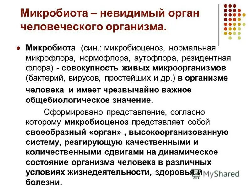 Микробиота определение. Микробиота определение