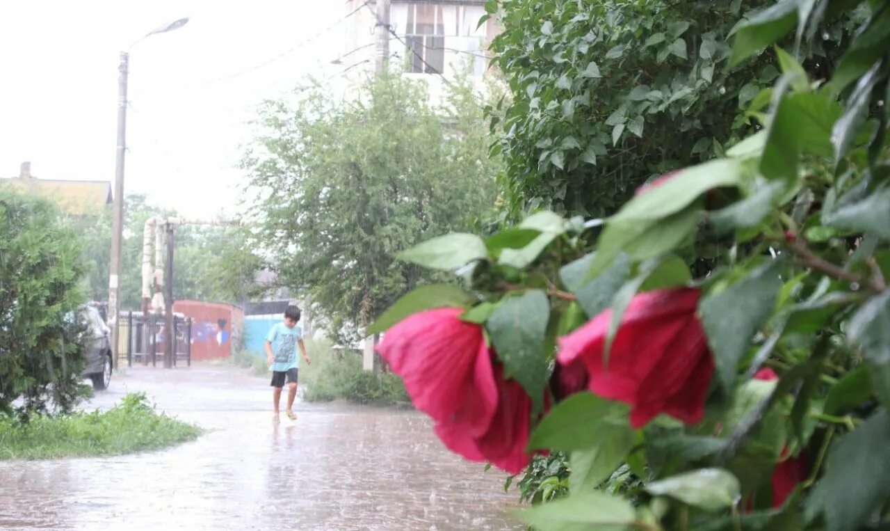 После не так давно прошедшего дождя. Дождь в Астрахани. Дождливая Астрахань. Ливень в Астрахани. Сильная гроза в Астрахани 31 июля 2022.