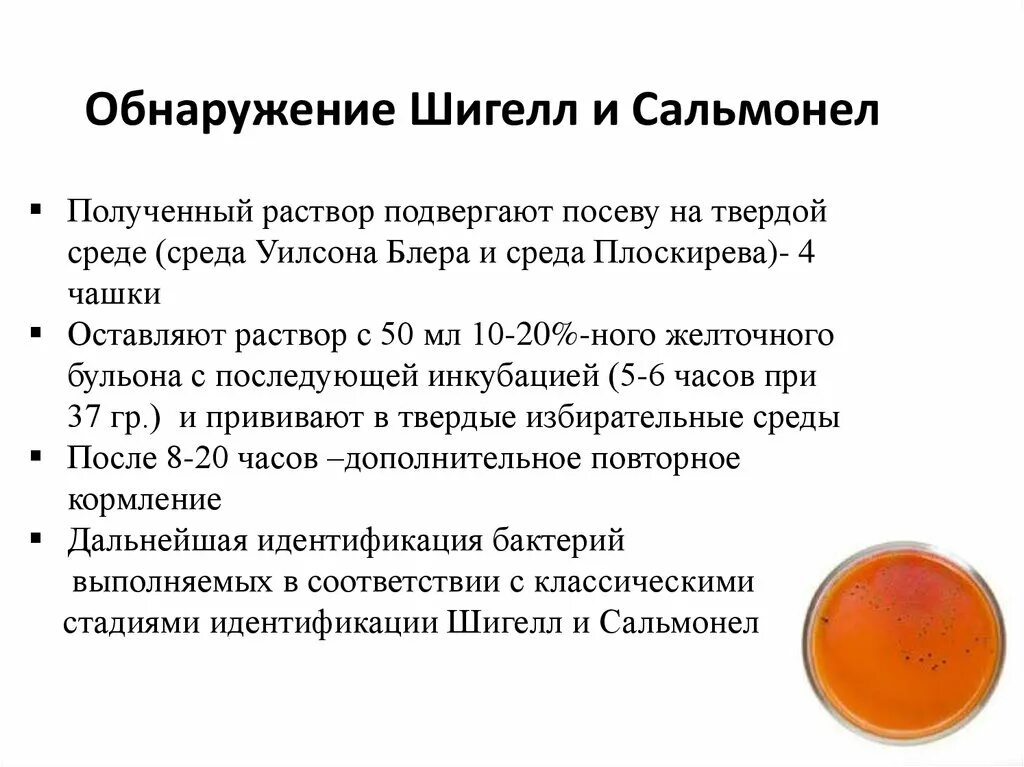 среда плоскирева микробиология