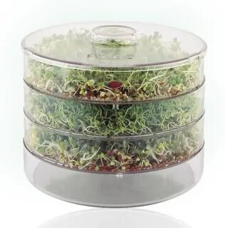 Банки для микрозелени