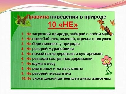 Тест по правилам поведения в горах