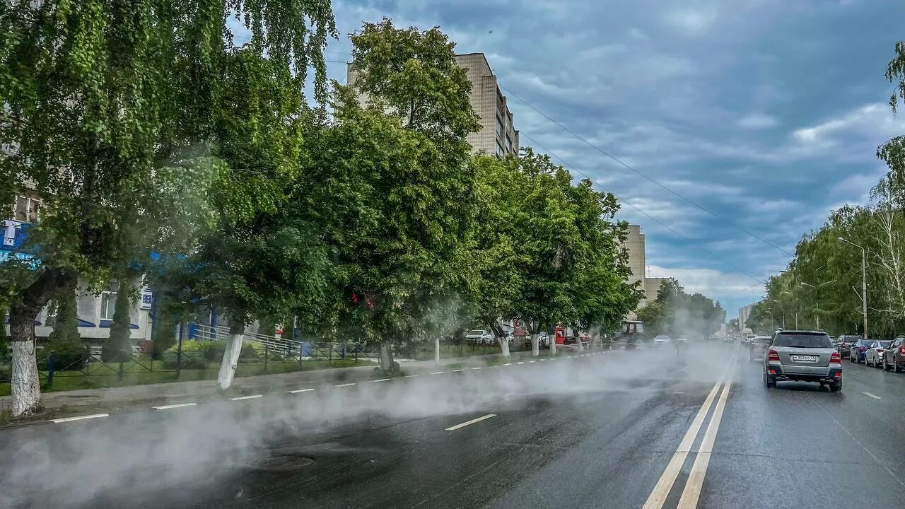 Улочки Ульяновска. Сентябрь в городе. Деревья Ульяновска. Ульяновск фото. Горячая вода сентябрь