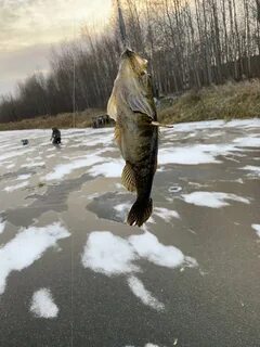 Отчет о рыбалке пруд