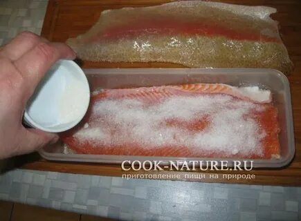 Солить форель пропорции соли и сахара