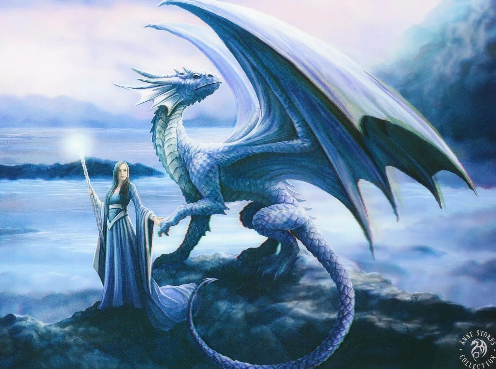Изображение дракона. Энн Стоукс драконы. Энн Стоукс чёрный дракон. Азеркин дракон. Дракон фэнтези.