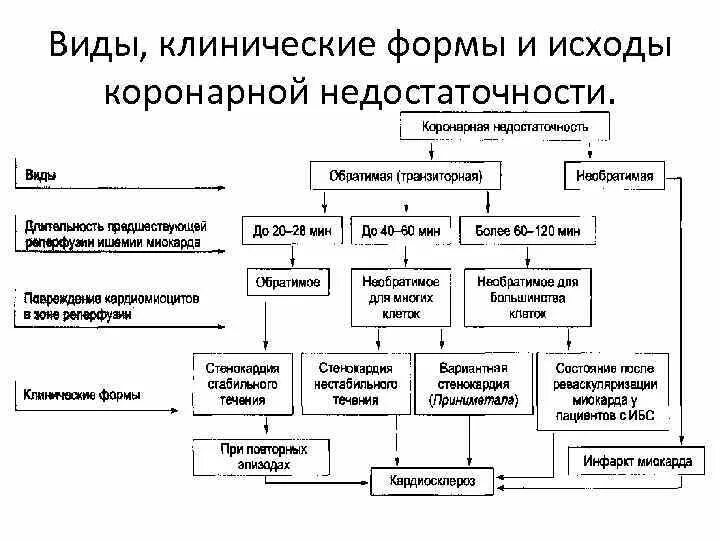 Патогенетическая коррекция коронарной недостаточности. Механизмы развития ишемии миокарда. Острая коронарная недостаточность развивается при. Синдром коронарной недостаточности. Причины коронарной недостаточности.