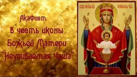 Неупиваемая 40 раз