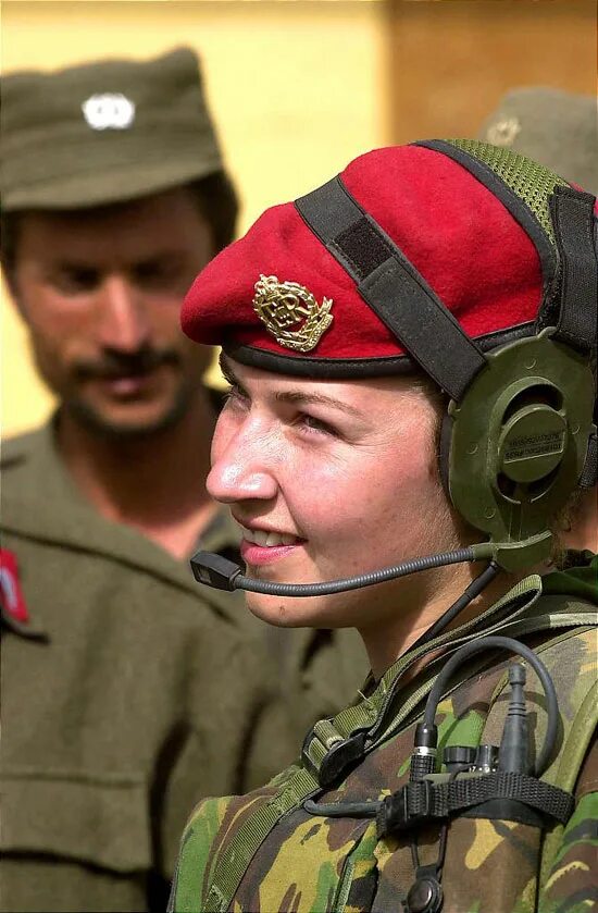 Army guide. Army guide. Гарнитура боуман и панама. Professional booby traps: special devices and techniques. Army guide.