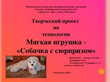 Проекты для 7 класса для девочек