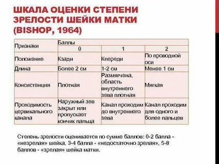 Матка 6 недель что это значит