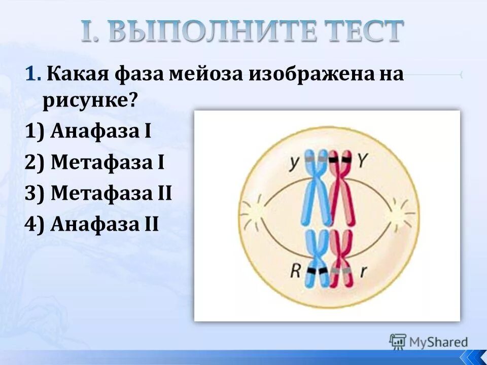 4n4c какая фаза