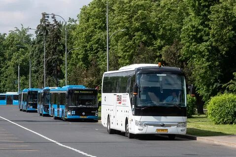 Маршрут 244