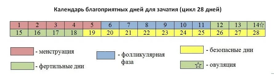 Рассчитать безопасные дни для незащищенного акта калькулятор. Таблица возможности забеременеть. благоприятный период для зачатия. дни для зачатия. дни вероятной беременности.