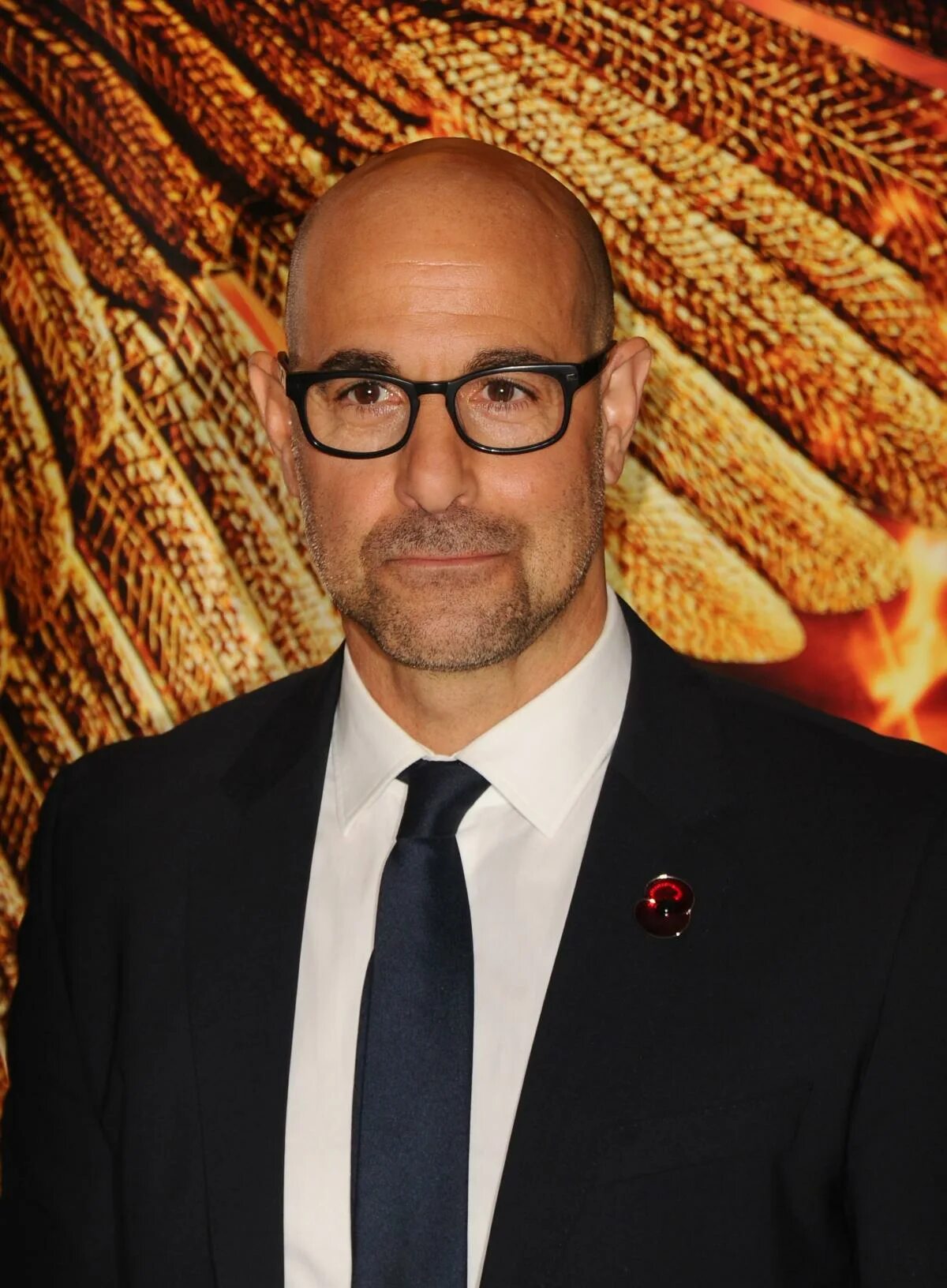 Стенли туччи. Стенли туччи. Стэнли туччи туччи. Стэ́нли ту́ччи. Стэнли туччи актер.