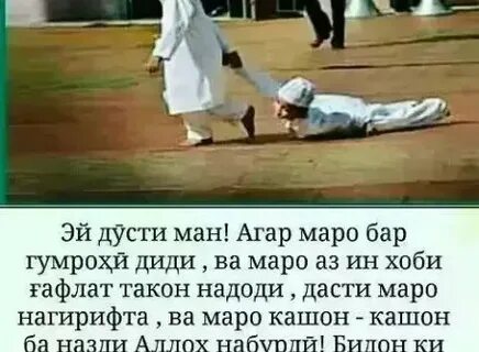 Бораи дуст