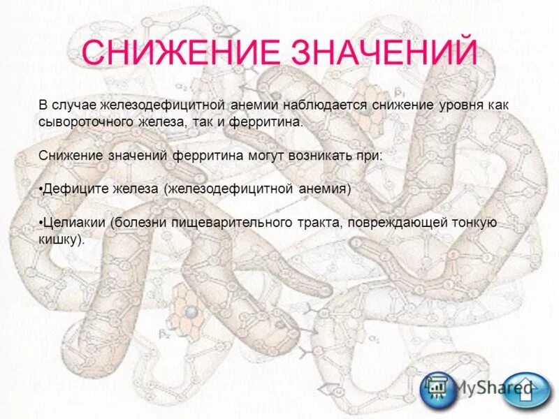 Нехватка ферритина симптомы у женщин. Снижение ферритина. Ферритин причины снижения. Снижение уровня ферритина. Симптомы сниженного ферритина.