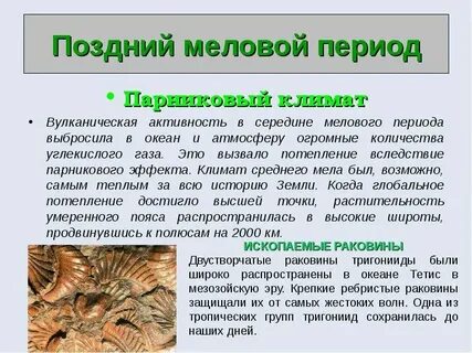 Меловой период относится к