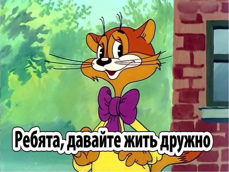 Жить дружно 6