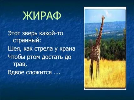 Жираф составить предложение