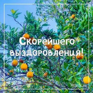 Восстанавливайся скорее