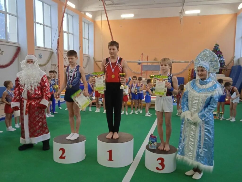 Дюсш 3 сайт. Дюсш 3 ефремов. город ефремов школа 3. чемпионат по спортивной гимнастике. дюсш.