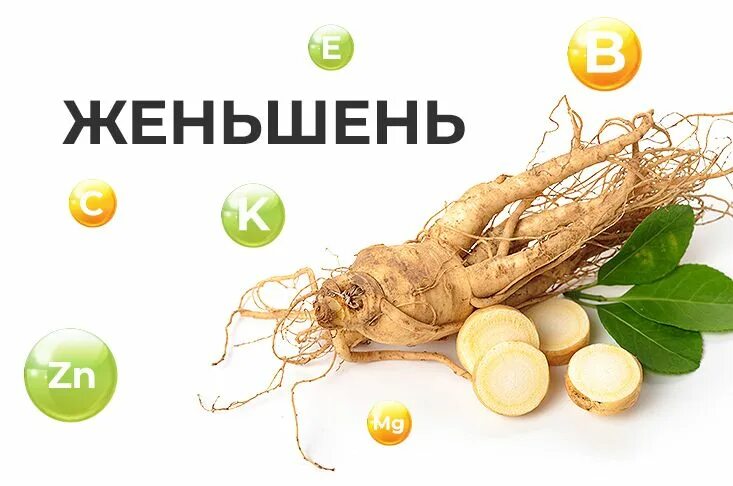 Женьшень характеристика. Женьшень илдизи. Для чего полезен женьшень. Женьшень чем полезен для человека. Женьшень дальневосточный.