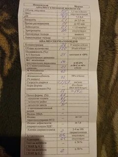 Патология спермограмма