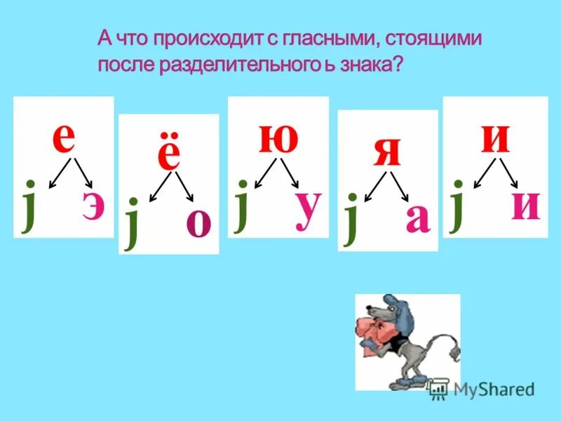 Чьи то буква ь обозначает мягкость предыдущего