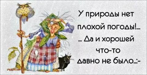 Картинки у природы нет плохой погоды прикольные