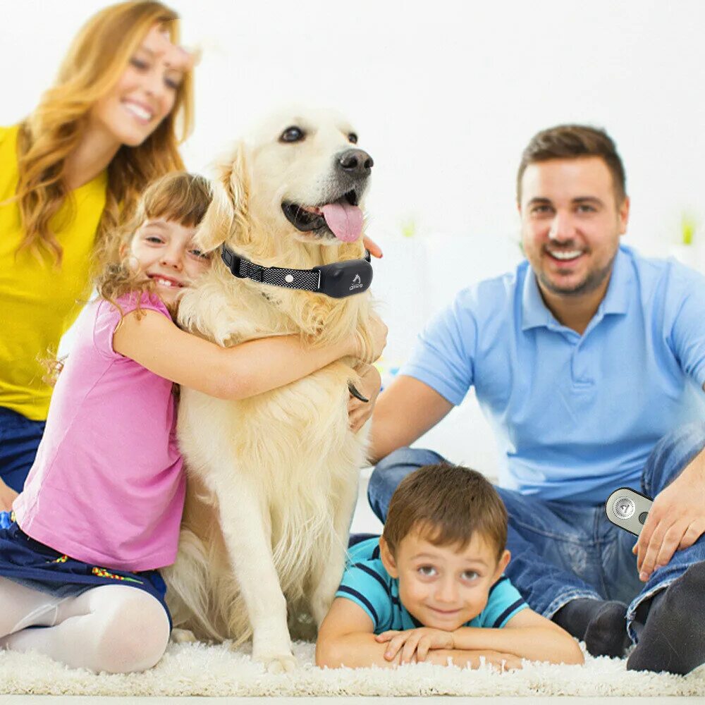 Pet family отзывы. Семья с собакой. Счастливая семья с собакой. Семья с домашними питомцами. Дом семья собака.