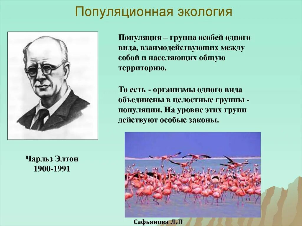 Популяция человека процессы. Популяция это в экологии. Популяционная экология. Понятие о популяции. Популяция это вкологии.