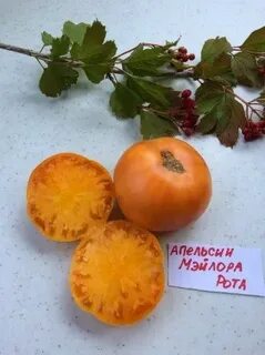 Помидоры апельсины носки