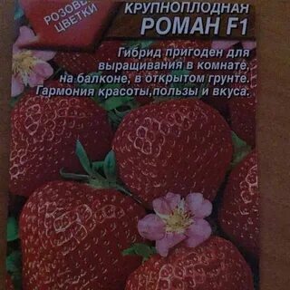 Клубника ремонтантная описание сорта фото отзывы