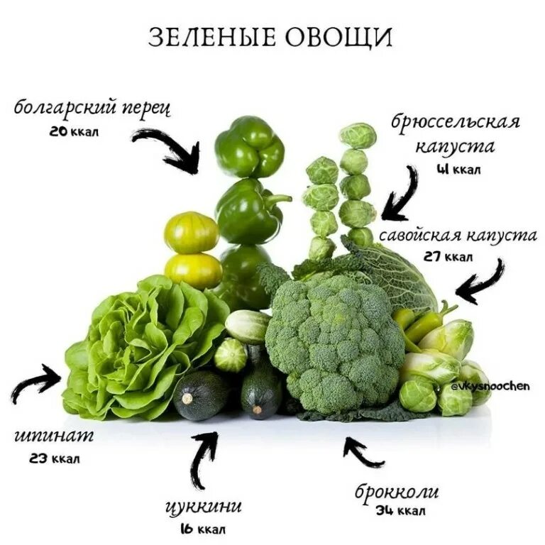 Сочетания для салатов. Продукты для похудения. 500 грамм овощей в день. Салат в картинках пп. Какие овощи и фрукты можно давать собакам.