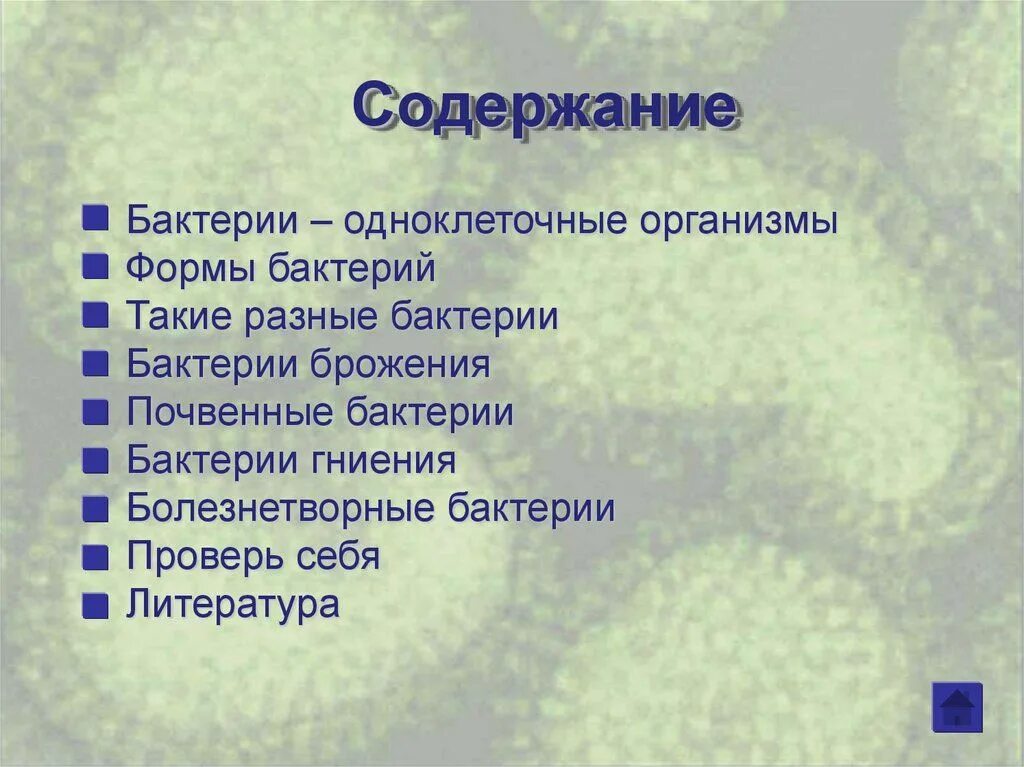Бактерии содержание. Содержание бактерий. заключение по бактериям. содержание микроорганизмы презентация. список литературы про бактерии.