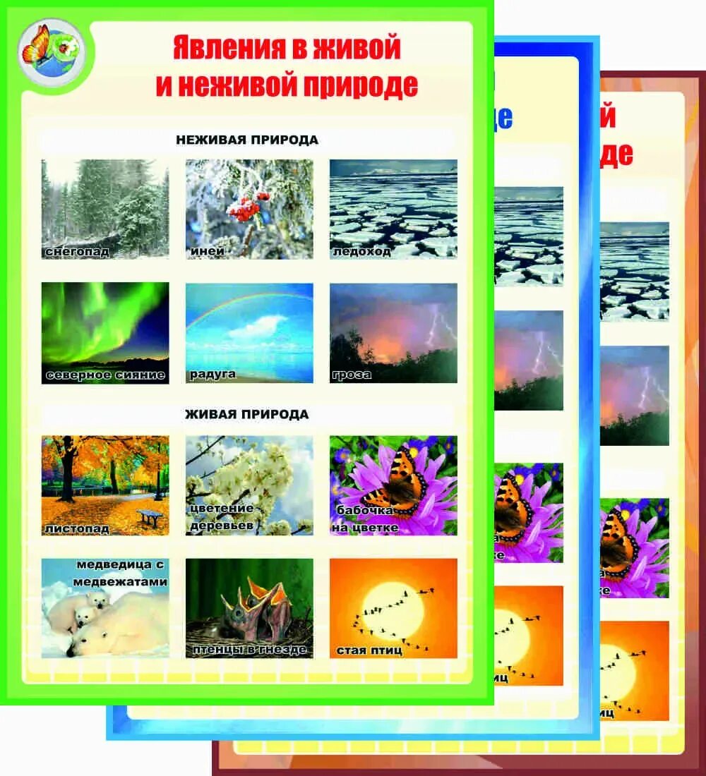 Примеры явлений неживой природы 2 класс. Явления живой и неживой природы. Взаимосвязь явлений живой и неживой природы. Превращение неживой природы в живую. Сезонные явления живой и неживой природы.