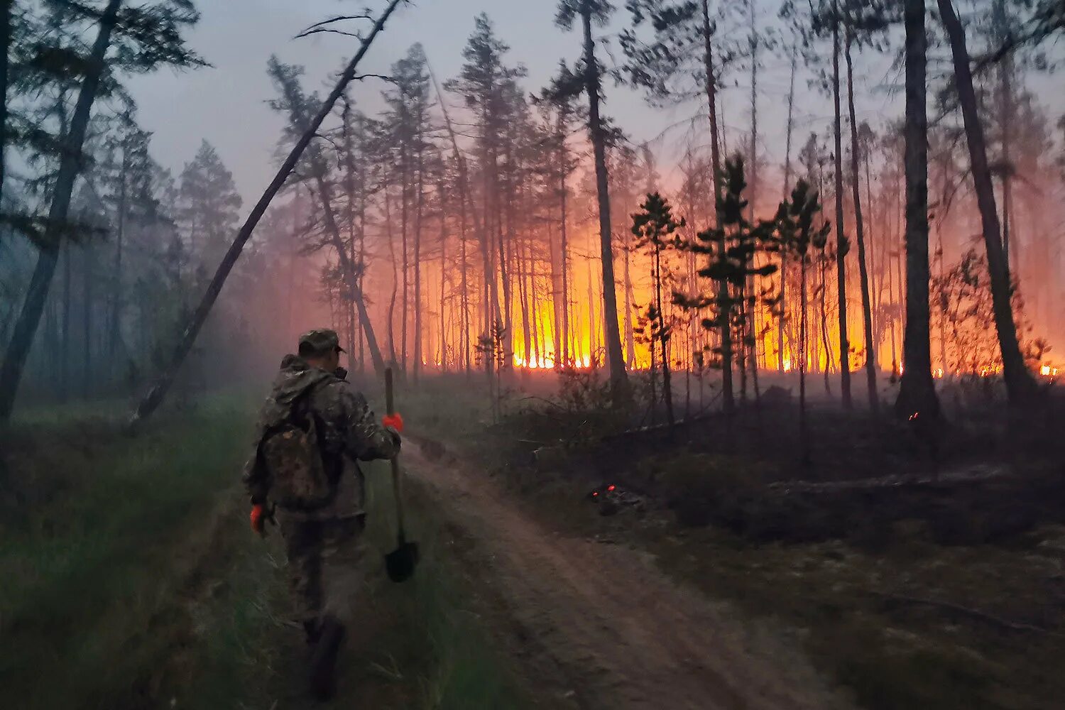 Лесные пожары в Якутии 2021. Лесные пожары в Сибири 2021. Якутск пожары 2021. Лесные пожары в Сибири (2015).