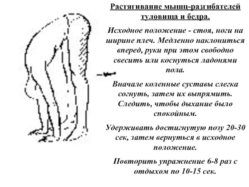 Мышцы разгибатели туловища. Анатомический анализ положения тела наклон вперед стоя. положение туловища стоя. наклон вперед касаясь ладонями. положение стоя анатомический анализ.